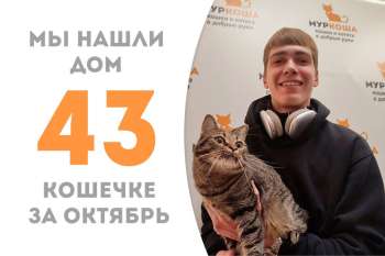 Чави попрощалась с приютом!