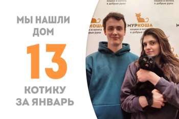 Чоня, пробыв у нас меньше месяца, отправляется в прекрасную домашнюю жизнь!