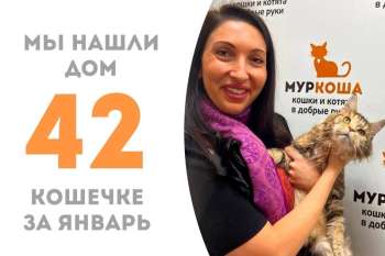 Кошка Чулюпа уехала домой!