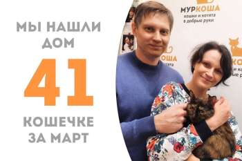 Чудесная Дашуля уезжает домой, не пробыв в приюте и трех месяцев!