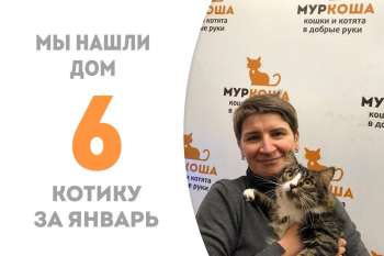 У ДеБюсси теперь есть дом и семья!