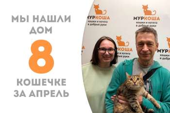 Проводили Делфи в счастливый путь домой!