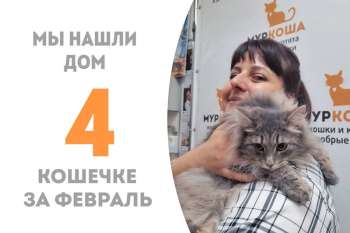Красавица Демка становится домашней!