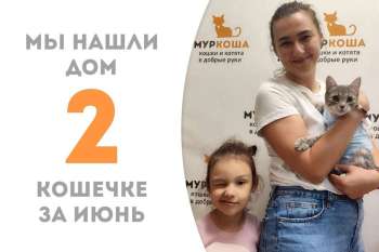 Дейли обрела семью, не пробыв в приюте двух месяцев, и теперь каждый день она будет радовать своих людей!