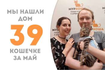 Диез обрела дом!