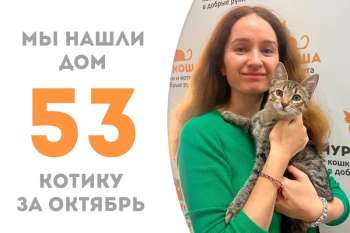 Всего спустя пару недель Димусик уезжает к Штукатурке!