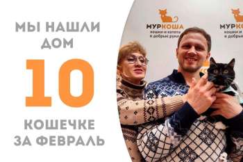 Умница Диша обрела свой дом!