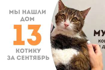 Дубок становится домашним!