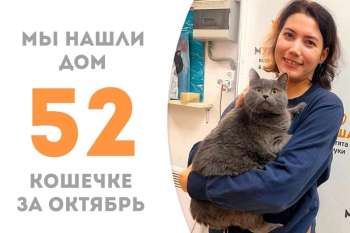 Плюшевая Дымма встретила своего человека!