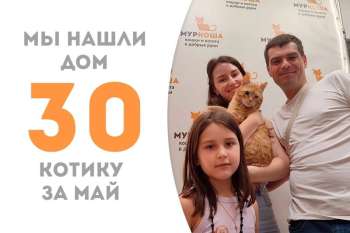 Джедай обретает семью!