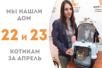 Джоуль и Джулька дружно уезжают домой!
