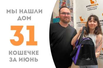 Элегантная Джулия стала домашней!