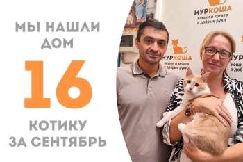 Милый Егорушка отправляется домой!
