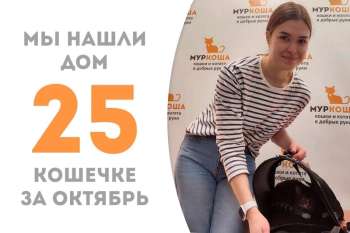 Эльче отправляется домой, не пробыв у нас и трех месяцев!