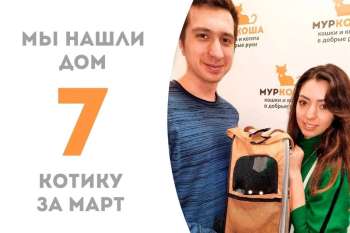 Эльсик становится следующим счастливчиком и едет в прекрасную семью!