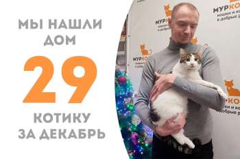 С сегодняшнего дня и навсегда! Семейные выступления непревзойдённого Эминема на домашней сцене!