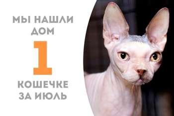 Спустя два месяца Эмори уехала домой!