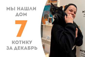 Эндорфин уехал устраивать праздник каждый день дома!