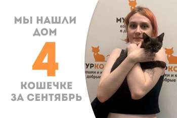 Шоколадная Эскимошка встретила свою добрую хозяйку!