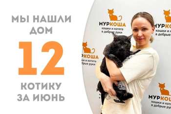 Евпатий снова домашний!