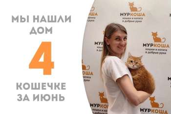 Лучезарная Эйрена становится домашней!