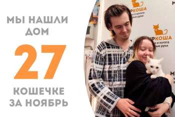Прекрасная Фанагория обрела семью, проведя в Центре "Муркоша" менее месяца!