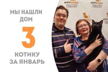 Фарт становится следующим счастливчиком января и едет в семью к нашему выпускнику Дунаю!
