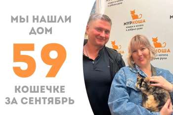 Прошло чуть больше месяца, а красавица Феличита встретила свою семью!