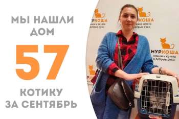 Попращались с прекрасным Фениксом!
