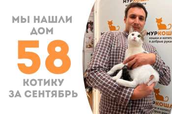 Пробыв с нами всего два с половиной месяца, красавчик Фейт спешит домой!