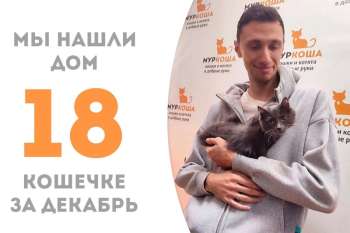 Фидда встретила своего человека!