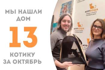Пробыв в приюте всего три недели очаровательный Финч начинает домашнюю жизнь!