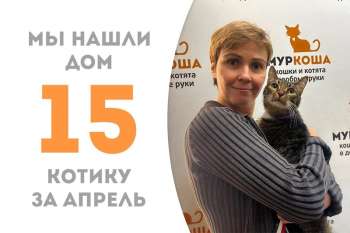 Полосатик Фиро уезжает домой!