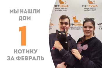Фокстрот отправился в домашнюю жизнь!