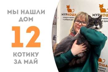 Фомич повстречал свое счастье!