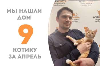 Франтишек обрел свою настоящую семью, где его ждёт наш выпускник Бонсай!