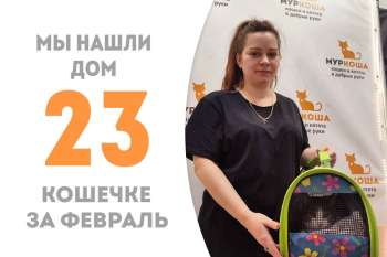 Лапушка Фруктис обрела дом у своего доброго куратора!