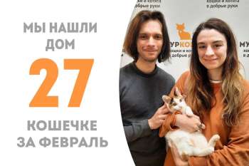Чудесная Галактика становится центром целой домашней вселенной!