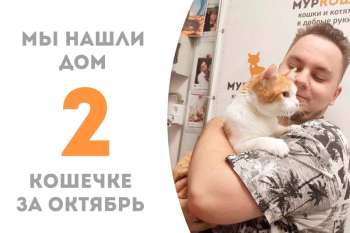 Газировка отправляется к Купаве!