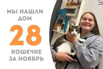 Муронька Геппа уехала домой!