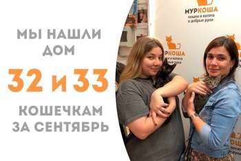 Герлен и Галчонок становятся счастливицами!