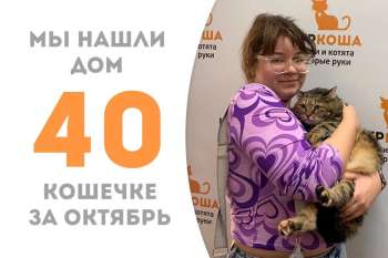 Гермия встретила свою добрую хозяйку!