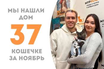 Гина встретила свое счастье!