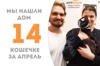 Юная Гишер пробыла у нас почти три месяца и встретила свою семью!