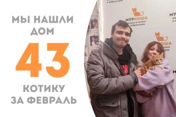 Глинтвейн нашёл свою семью за полтора месяца пребывания в приюте!