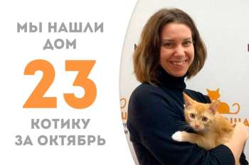 Около полутора месяцев понадобилось очаровательному Гномику, чтобы обрести свою добрую хозяйку!