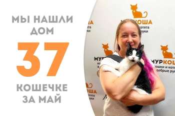 Головоломка уезжает домой, не пробыв у нас и двух месяцев!
