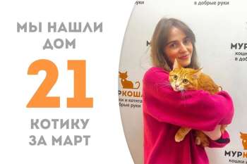Малыш Готье уехал домой!