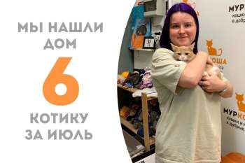 Меньше месяца понадобилось Гребешку, чтобы встретить свою добрую хозяйку!