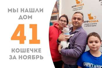 Красоточка Гуанабана стала домашней любимицей!